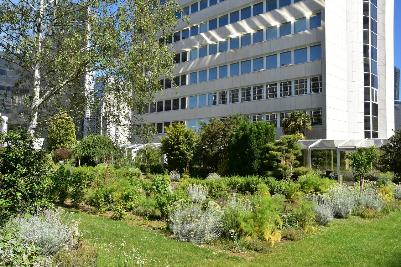 Bureau Puteaux 9137m² Location bureau Puteaux Hauts-de-Seine OLBUR2001024 0